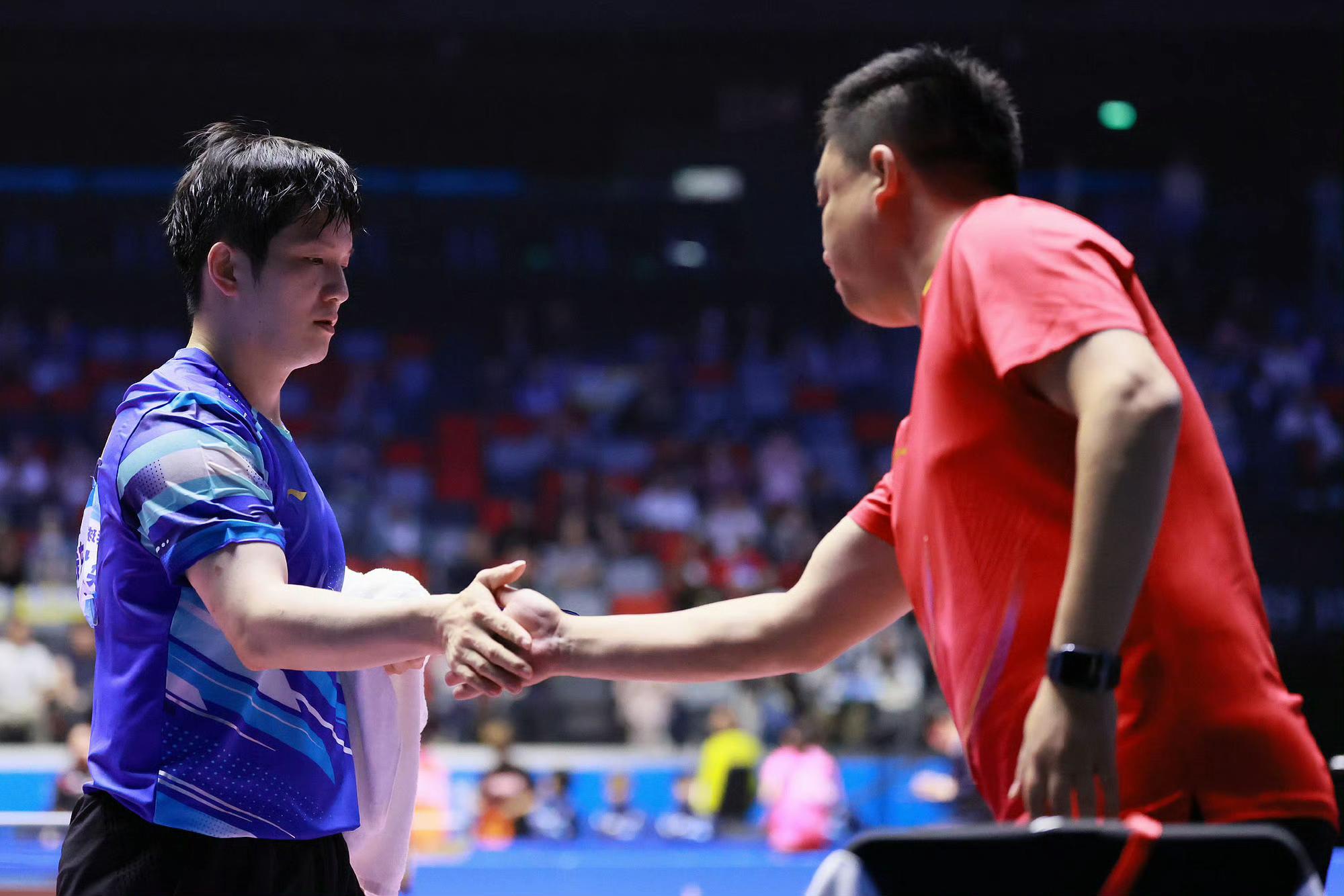 日本队碾压韩国队,樊振东高光表现 日本队碾压韩国队,樊振东高光表现