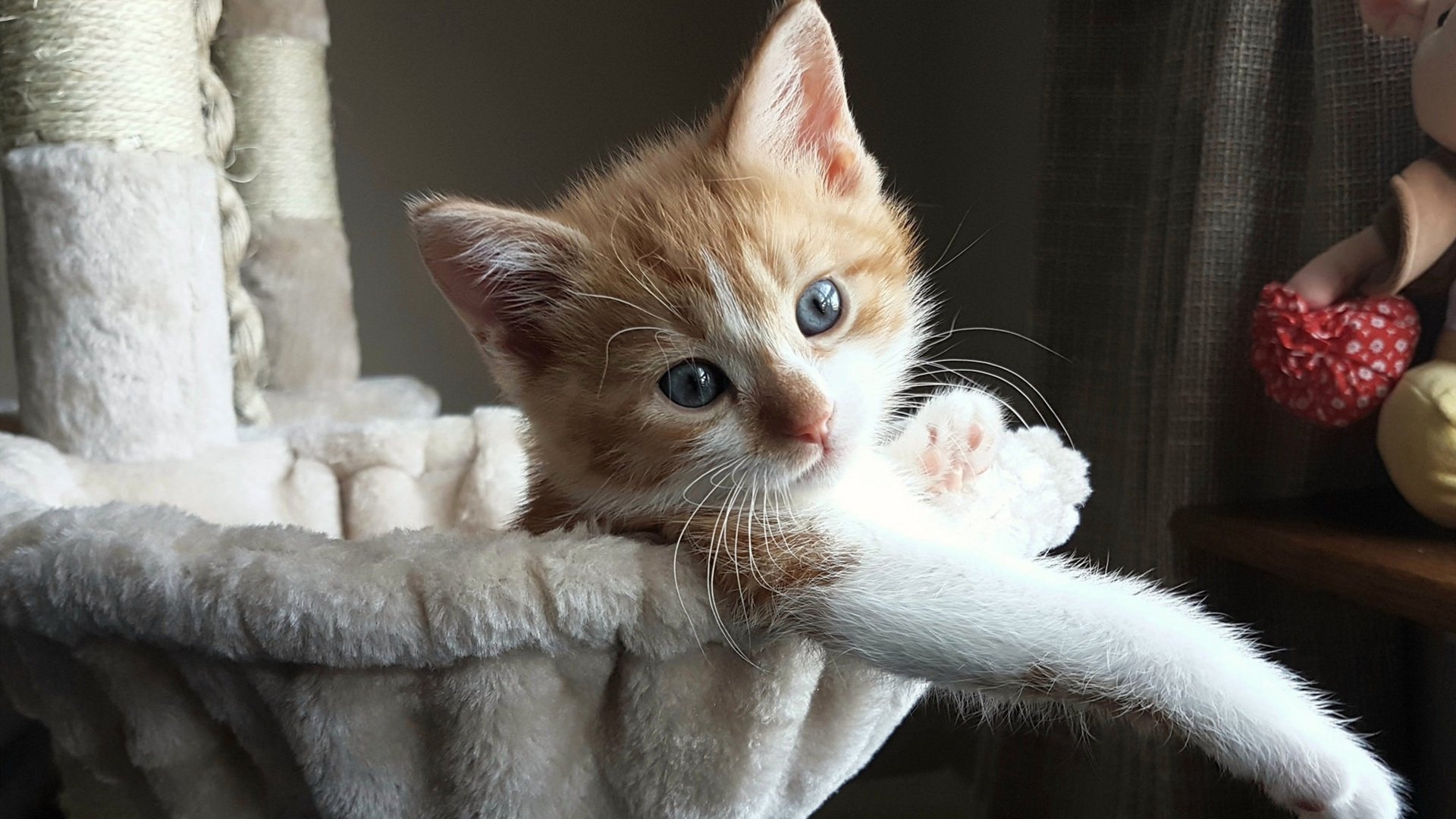 最致命的武器往往是最古老的方式，努涅斯头槌定音，巴拉圭用钢铁防线强行终结加纳