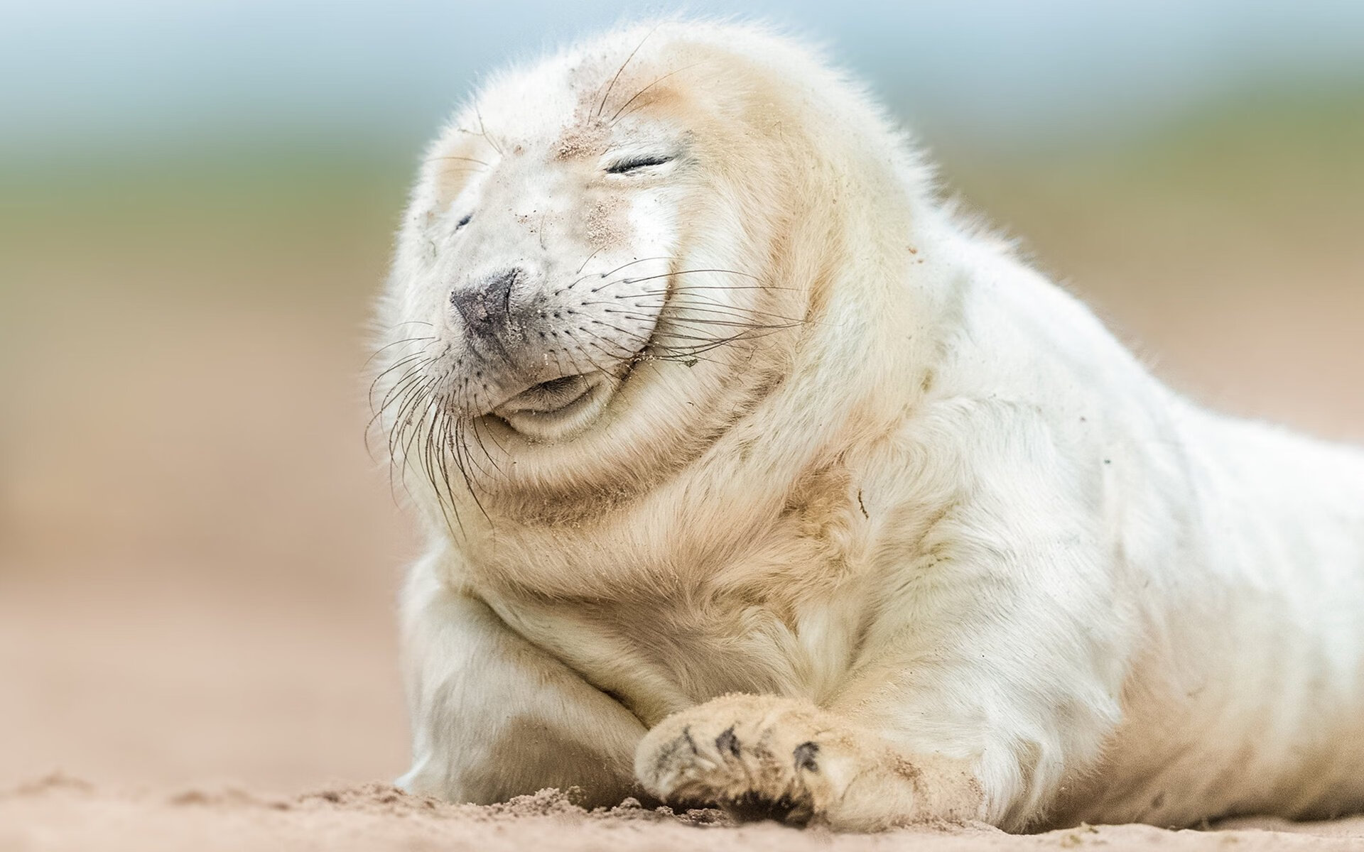 贝恩统治攻防,骑士战术碾压,太阳悬念早灭