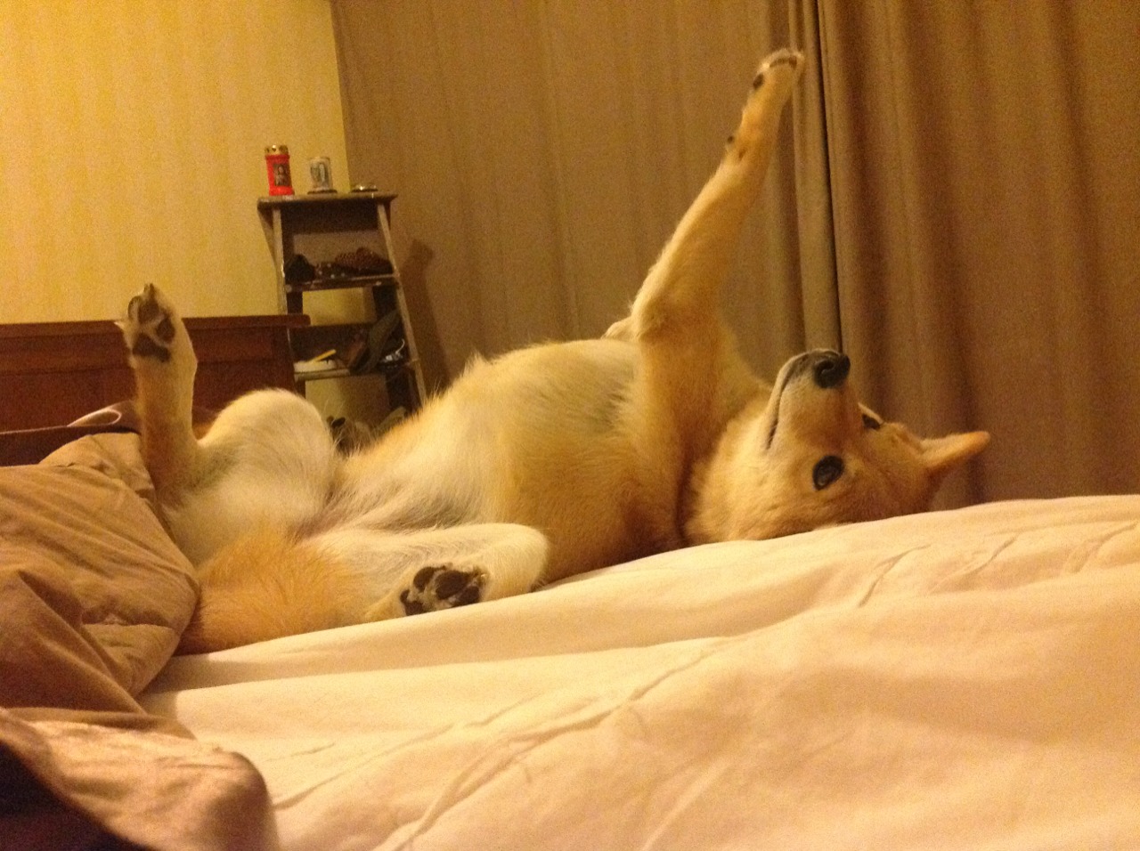 智利与葡萄牙的足球对话,基耶萨高光下的文化交响曲