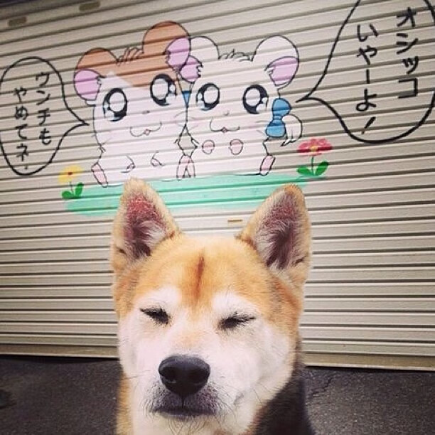 当北极光遇见童话防线,一场只存在于秒针上的对决