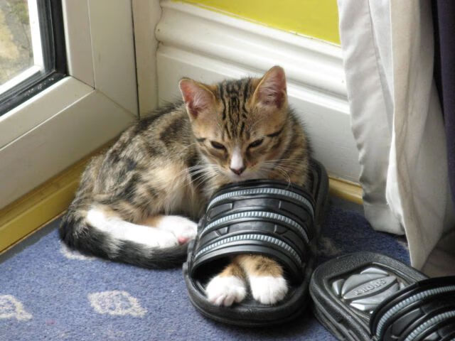 英格拉姆封神之战!老鹰加时搏命擒热火挺进季后赛