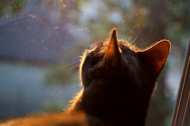 双星对撞夜，拉梅洛用对阵字母定义未来巨星路