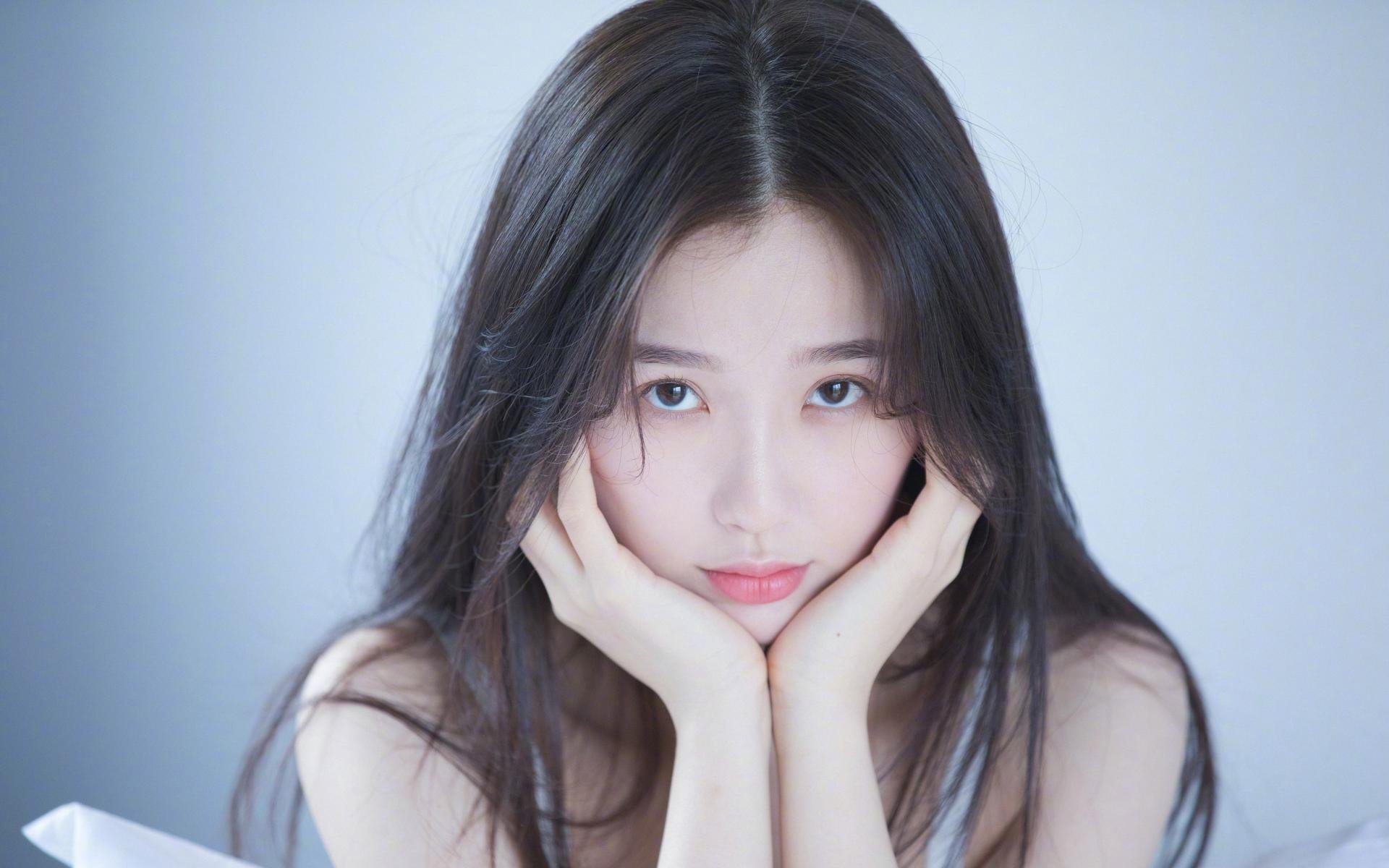 方案