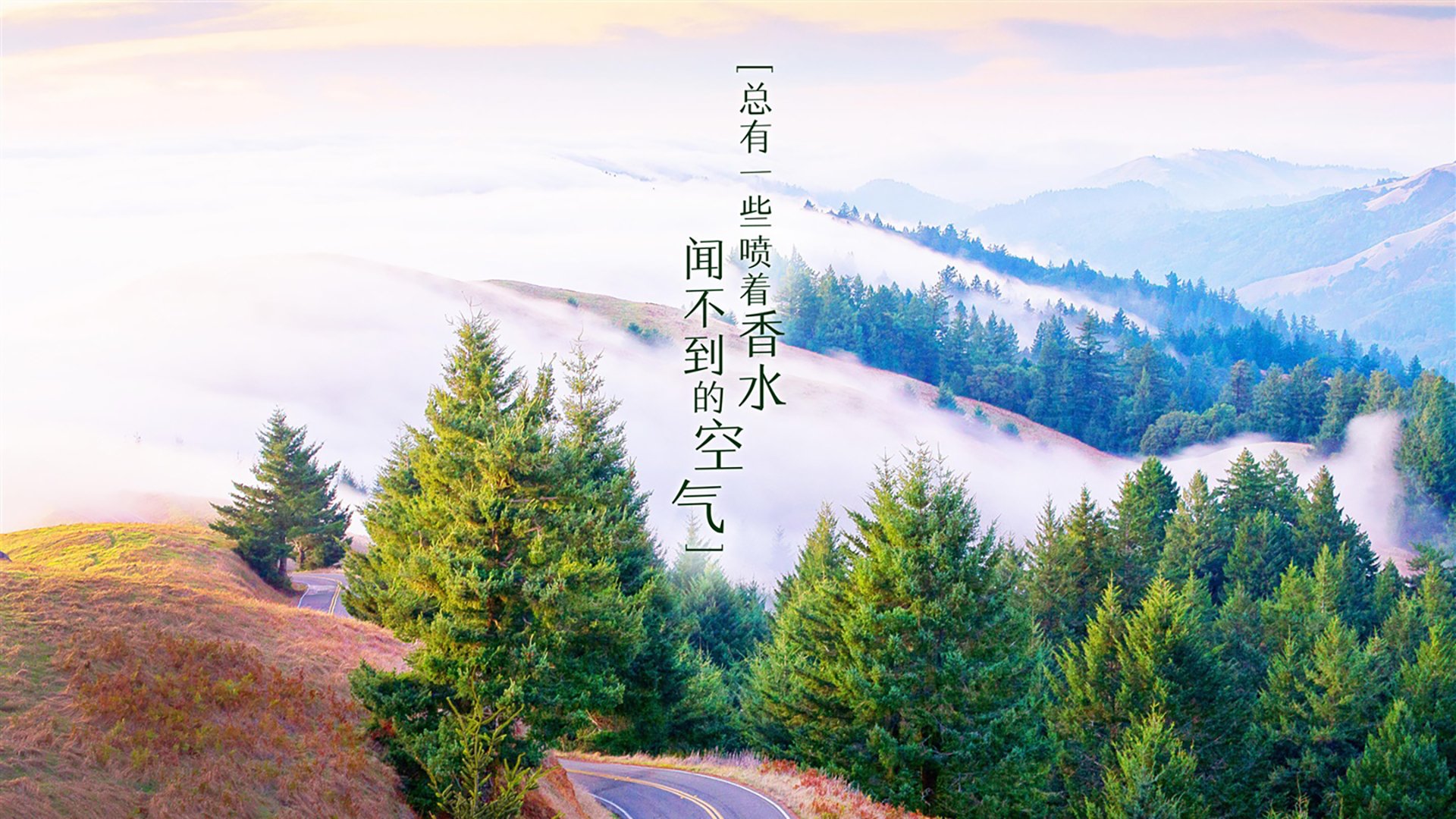 历史性跨越,勒沃库森首度问鼎洲际王座,奥亚尔萨瓦尔一锤定音铸就传奇