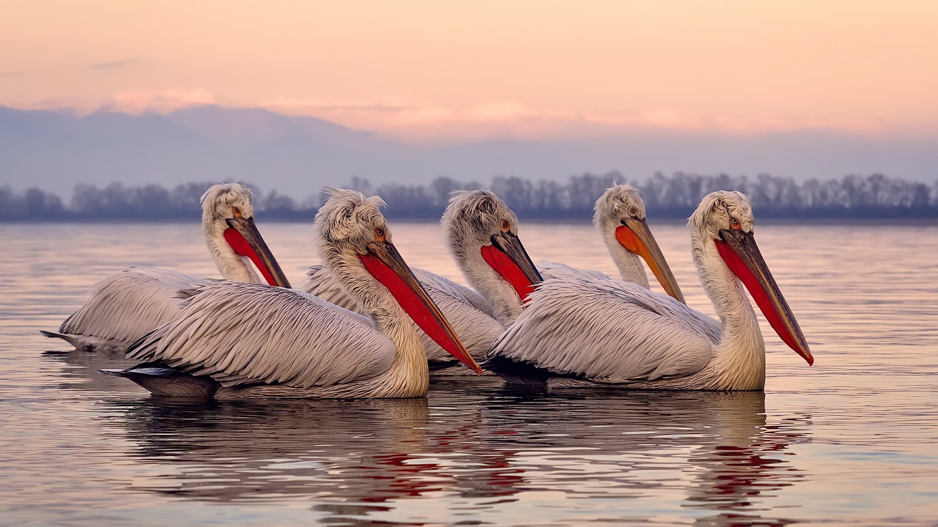 跨界终极对决,当篮球抢七遭遇F1方格旗,人类竞技的宿命在何处鸣响?