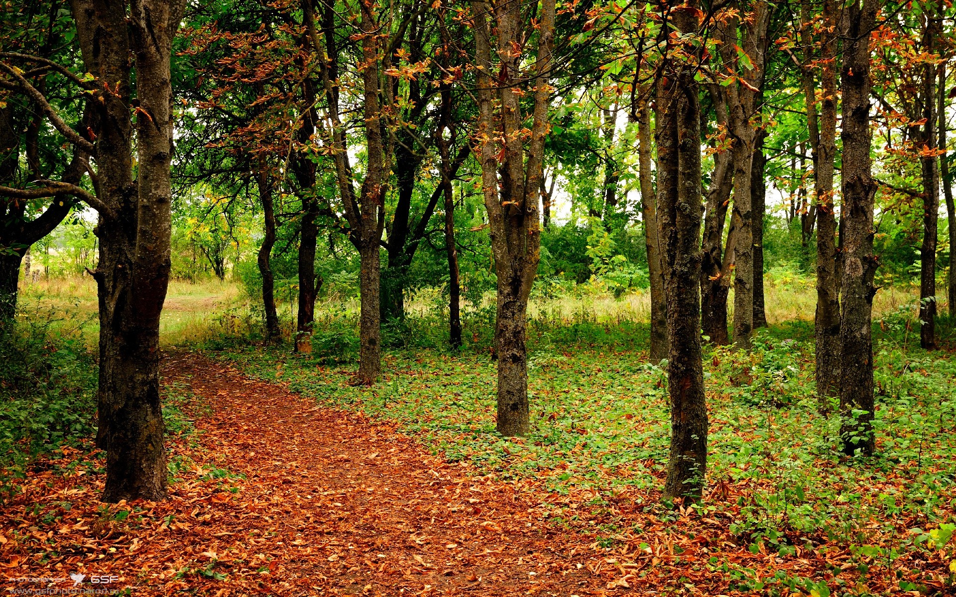 钢铁封锁线,当山西队的防守哲学降临F1街道赛