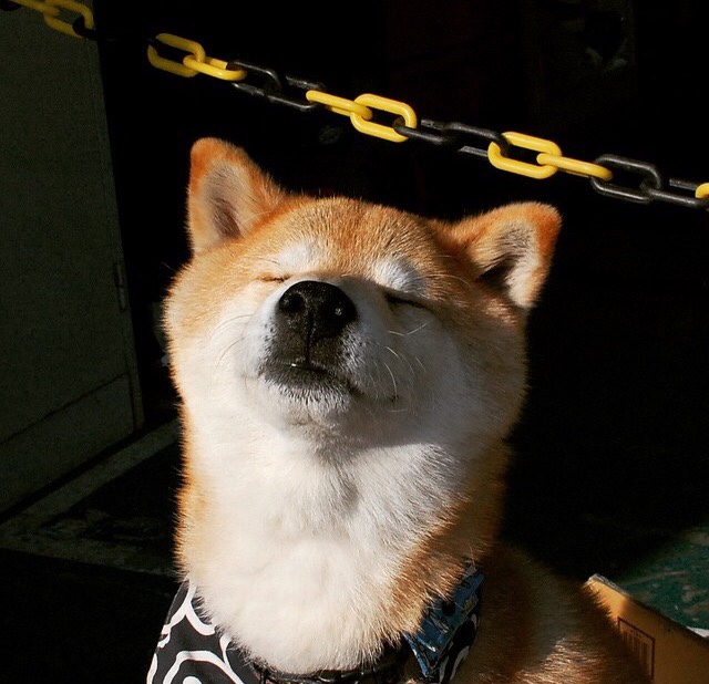 破局!巴西关键战突围伊拉克,内马尔圣保罗之夜的绝对主宰