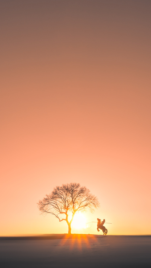 颠覆北欧神话,委内瑞拉如何用南美狂想曲重写年度焦点之战的剧本
