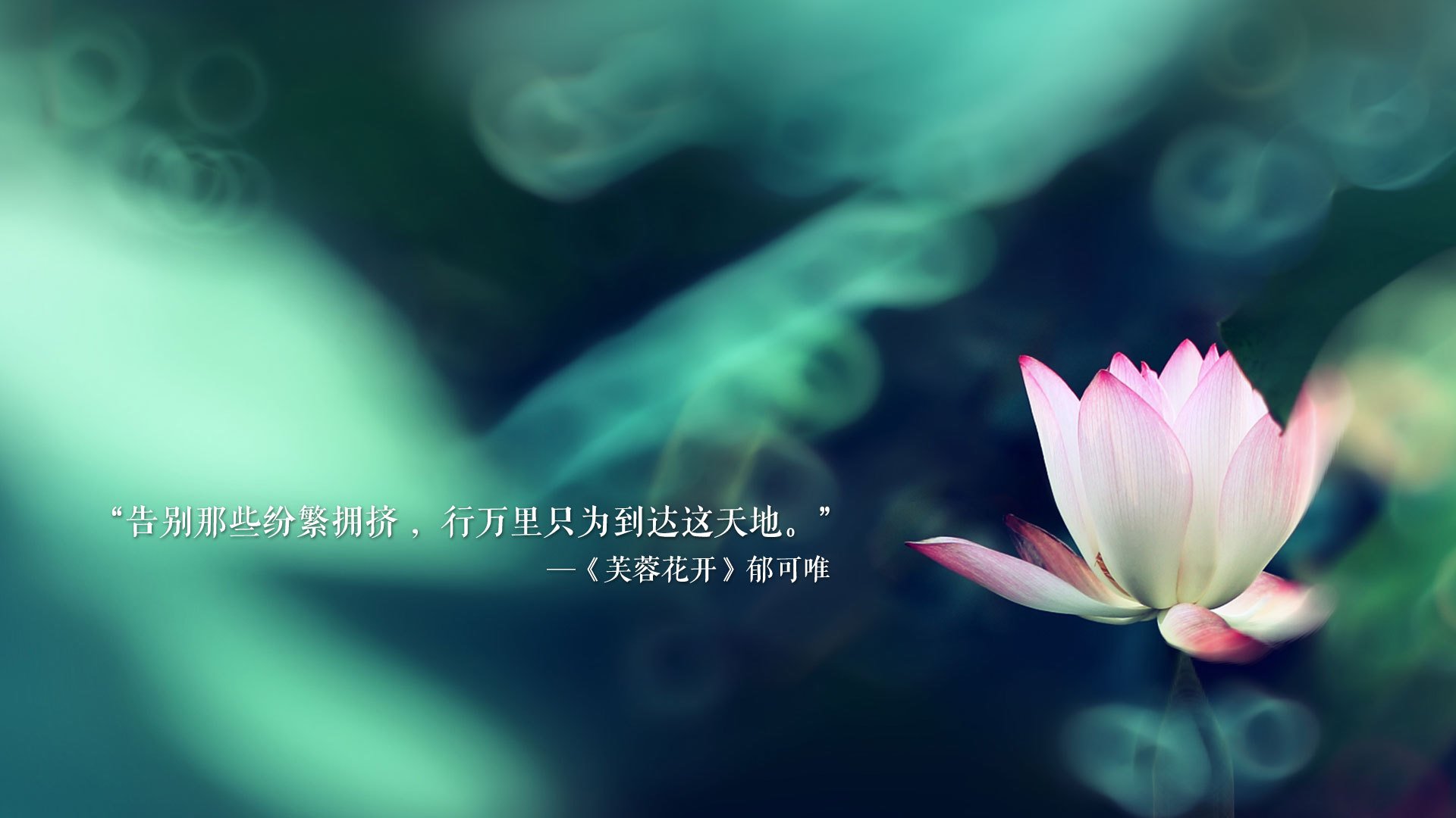 绿茵灵魂,禁区天网,迪巴拉NBA总决赛之夜的跨界传奇