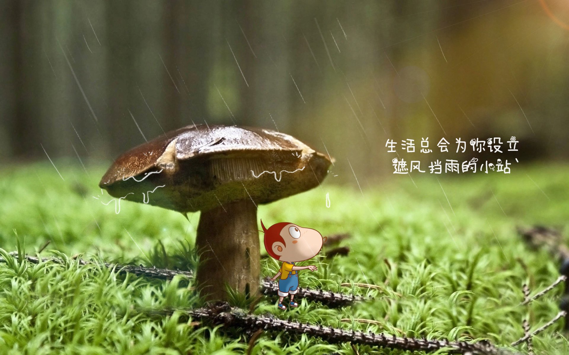 厄瓜多尔对阵勒沃库森,当平行宇宙的萨拉赫打出生涯之夜