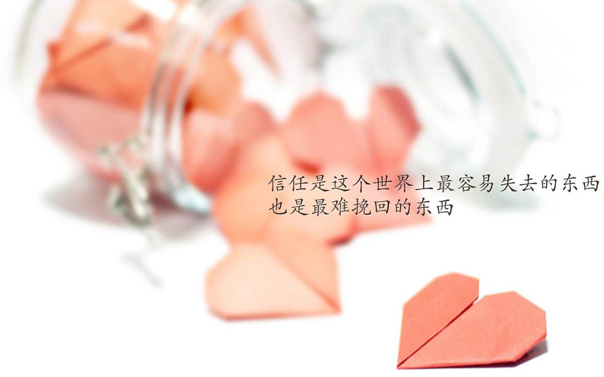 沙漠中的绿洲奇迹,越南铁桶困住西亚狼,萨内化身魔术师导演F组冷门